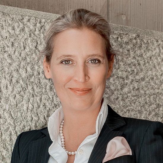Alice Weidel, AfD