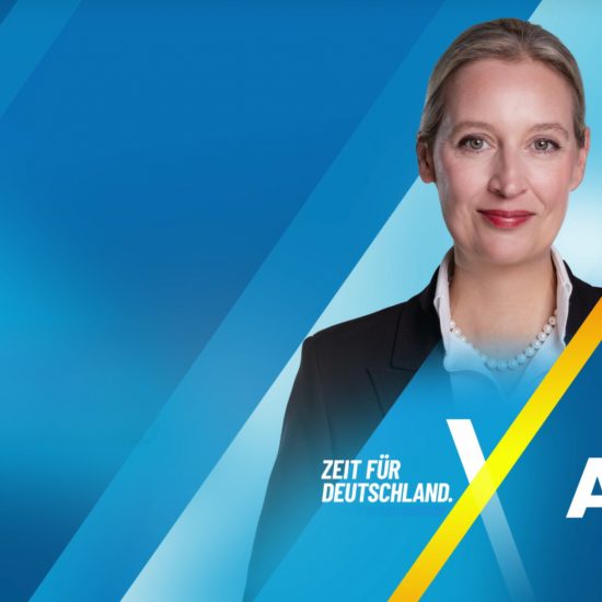 wahlprogramm afd