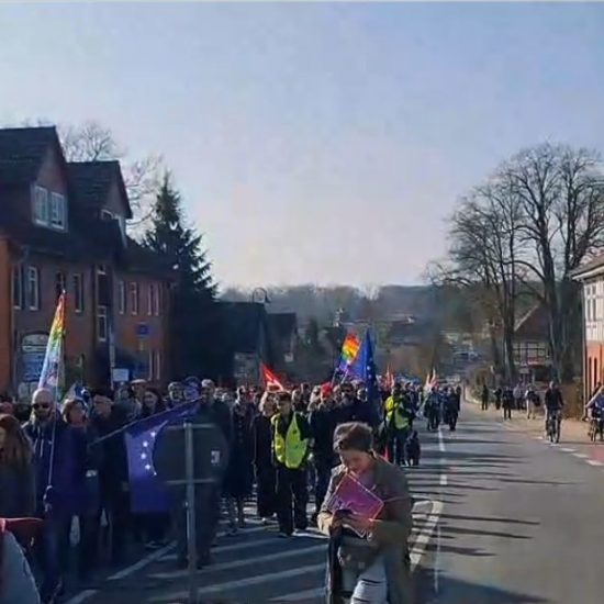 Was kostet der Polizeieinsatz bei einer Demo?